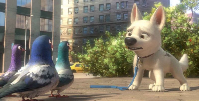 Evcil Hayvanların Gizli Hayatını Sevdiyseniz Netflix'te İzlenecek En Şirin 10 Hayvan Filmi